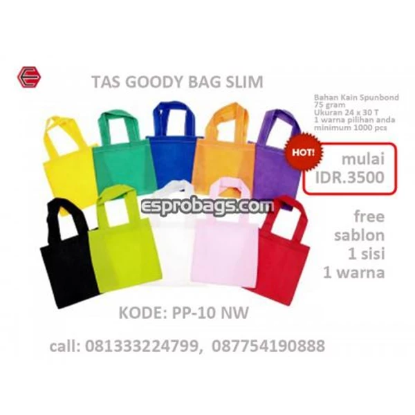 Goody Bag Promotional Bag Cheap PP-10