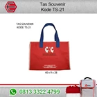 The Souvenir bag code: TS-21 1