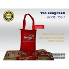 The Souvenir bag PP code: TSE-01 Spunbond 2