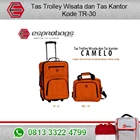 TOURIST TROLLEY BAG AND BRIEFCASE ESPRO CAMELO 1