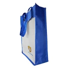 Bag Seminar Practical Souvenir Bag TS-09 3